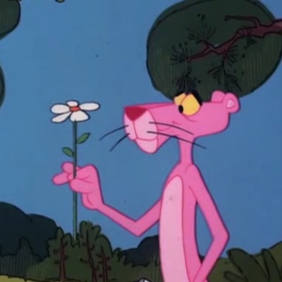 Meet your Posher, Bailey - Picture 1 of 1